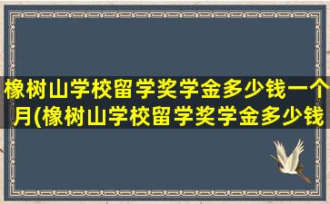 橡树山学校留学奖学金多少钱一个月(橡树山学校留学奖学金多少钱啊)