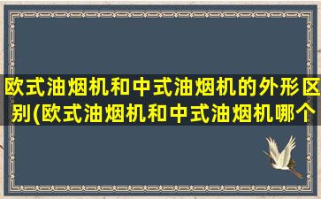 欧式油烟机和中式油烟机的外形区别(欧式油烟机和中式油烟机哪个好)