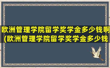 欧洲管理学院留学奖学金多少钱啊(欧洲管理学院留学奖学金多少钱一个月)