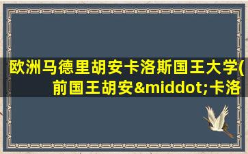 欧洲马德里胡安卡洛斯国王大学(前国王胡安·卡洛斯一世)