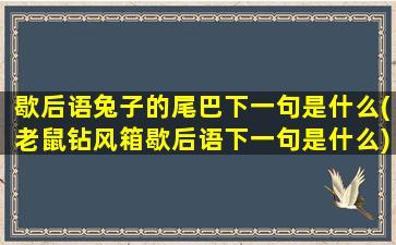 歇后语兔子的尾巴下一句是什么(老鼠钻风箱歇后语下一句是什么)