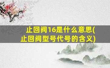 止回阀16是什么意思(止回阀型号代号的含义)