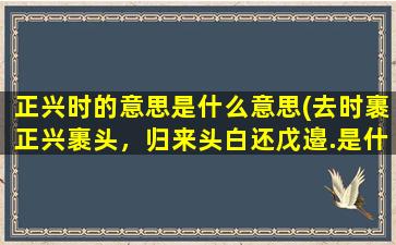 正兴时的意思是什么意思(去时裹正兴裹头，归来头白还戊邉.是什么意思)