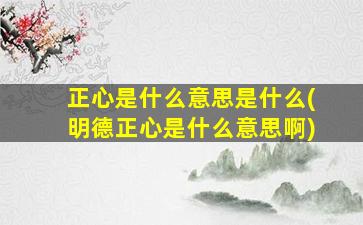 正心是什么意思是什么(明德正心是什么意思啊)