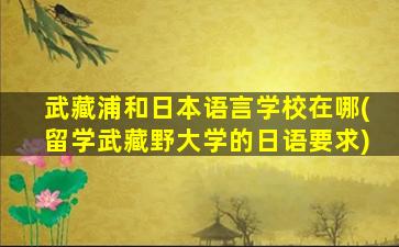 武藏浦和日本语言学校在哪(留学武藏野大学的日语要求)