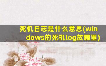 死机日志是什么意思(windows的死机log放哪里)