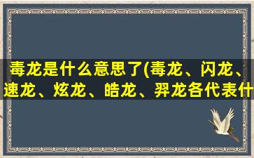 毒龙是什么意思了(毒龙、闪龙、速龙、炫龙、皓龙、羿龙各代表什么意思)