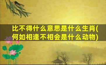 比不得什么意思是什么生肖(何如相逢不相会是什么动物)