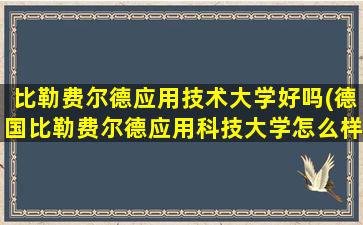 比勒费尔德应用技术大学好吗(德国比勒费尔德应用科技大学怎么样)