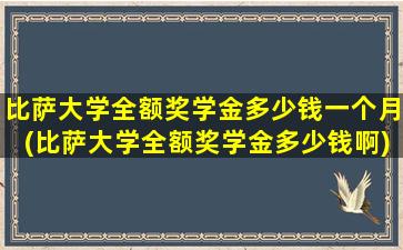 比萨大学全额奖学金多少钱一个月(比萨大学全额奖学金多少钱啊)