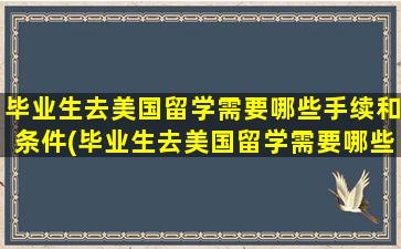 毕业生去美国留学需要哪些手续和条件(毕业生去美国留学需要哪些手续呢)