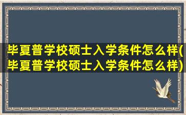 毕夏普学校硕士入学条件怎么样(毕夏普学校硕士入学条件怎么样)