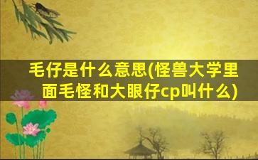 毛仔是什么意思(怪兽大学里面毛怪和大眼仔cp叫什么)