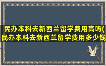 民办本科去新西兰留学费用高吗(民办本科去新西兰留学费用多少钱)