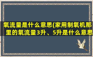 氧流量是什么意思(家用制氧机那里的氧流量3升、5升是什么意思)