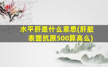 水平肝是什么意思(肝脏表面抗原500算高么)