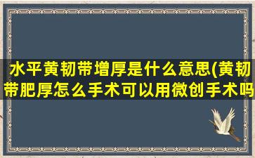 水平黄韧带增厚是什么意思(黄韧带肥厚怎么手术可以用微创手术吗何治疗)