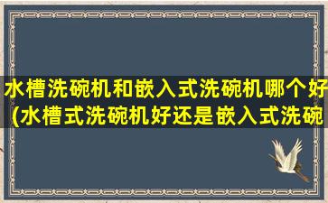 水槽洗碗机和嵌入式洗碗机哪个好(水槽式洗碗机好还是嵌入式洗碗机好)