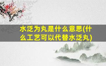 水泛为丸是什么意思(什么工艺可以代替水泛丸)