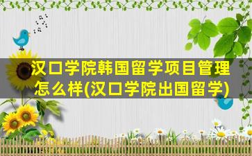 汉口学院韩国留学项目管理怎么样(汉口学院出国留学)