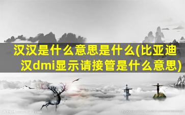 汉汉是什么意思是什么(比亚迪汉dmi显示请接管是什么意思)