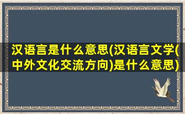 汉语言是什么意思(汉语言文学(中外文化交流方向)是什么意思)