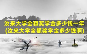 汝来大学全额奖学金多少钱一年(汝来大学全额奖学金多少钱啊)