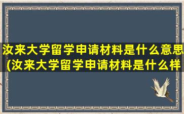 汝来大学留学申请材料是什么意思(汝来大学留学申请材料是什么样子的)