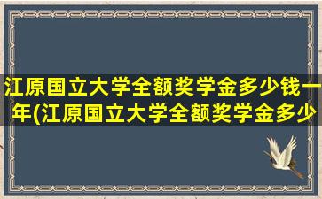 江原国立大学全额奖学金多少钱一年(江原国立大学全额奖学金多少钱啊)