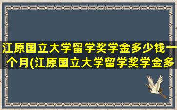 江原国立大学留学奖学金多少钱一个月(江原国立大学留学奖学金多少钱啊)