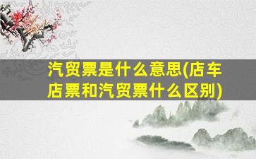 汽贸票是什么意思(店车店票和汽贸票什么区别)