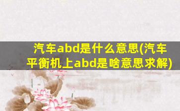 汽车abd是什么意思(汽车平衡机上abd是啥意思求解)