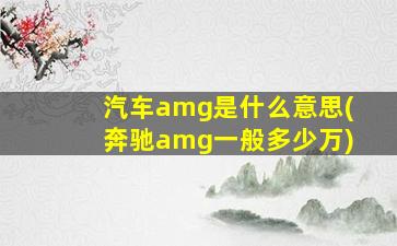 汽车amg是什么意思(奔驰amg一般多少万)