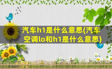 汽车h1是什么意思(汽车空调lo和h1是什么意思)