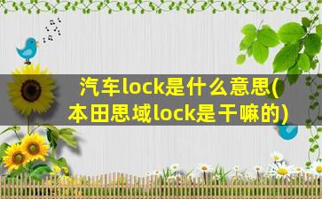 汽车lock是什么意思(本田思域lock是干嘛的)