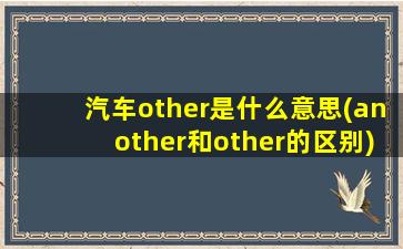 汽车other是什么意思(another和other的区别)