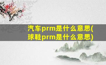 汽车prm是什么意思(球鞋prm是什么意思)