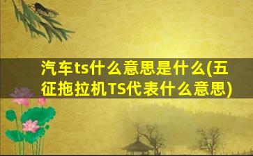 汽车ts什么意思是什么(五征拖拉机TS代表什么意思)