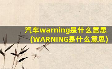 汽车warning是什么意思(WARNING是什么意思)