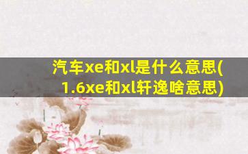 汽车xe和xl是什么意思(1.6xe和xl轩逸啥意思)