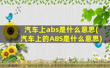 汽车上abs是什么意思(汽车上的ABS是什么意思)