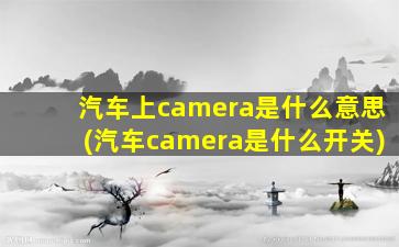 汽车上camera是什么意思(汽车camera是什么开关)