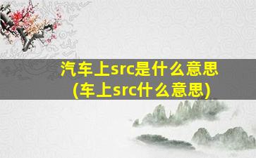 汽车上src是什么意思(车上src什么意思)