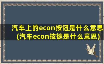 汽车上的econ按钮是什么意思(汽车econ按键是什么意思)