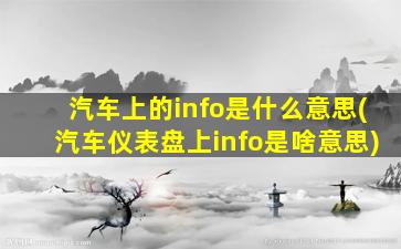 汽车上的info是什么意思(汽车仪表盘上info是啥意思)