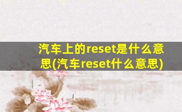 汽车上的reset是什么意思(汽车reset什么意思)