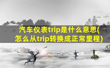 汽车仪表trip是什么意思(怎么从trip转换成正常里程)