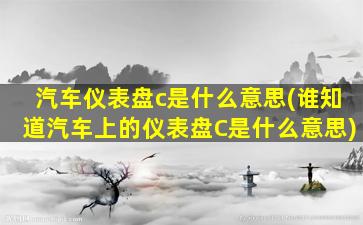 汽车仪表盘c是什么意思(谁知道汽车上的仪表盘C是什么意思)