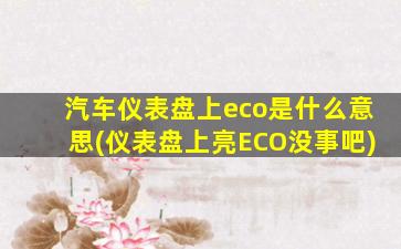 汽车仪表盘上eco是什么意思(仪表盘上亮ECO没事吧)