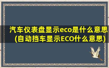 汽车仪表盘显示eco是什么意思(自动挡车显示ECO什么意思)